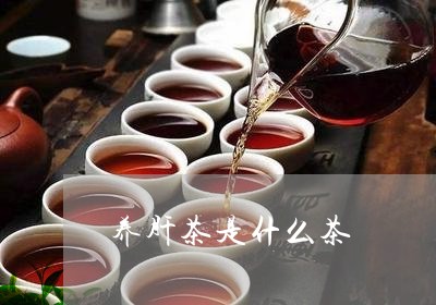 养肝茶是什么茶/2023042939503