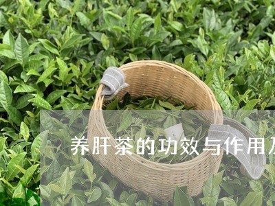养肝茶的功效与作用及禁忌/2023051105049
