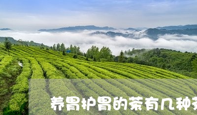 养胃护胃的茶有几种茶/2023071390373