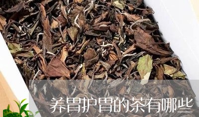 养胃护胃的茶有哪些/2023042166171