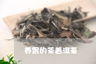 养胃的茶普洱茶/2023081557262