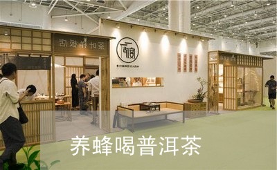 养蜂喝普洱茶/2023042690266