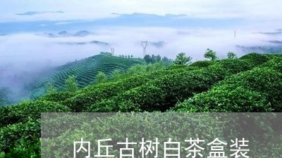 内丘古树白茶盒装/2023061549261