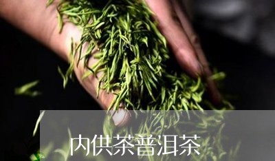 内供茶普洱茶/2023042984180