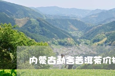 内蒙古勐舍普洱茶价格/2023092740726