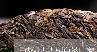 内蒙古古树白茶厂家/2023121701535