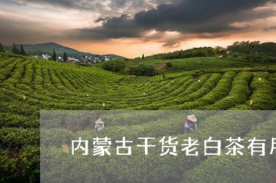 内蒙古干货老白茶有用吗/2023082654826