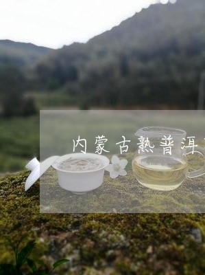 内蒙古熟普洱茶工厂店/2023092713705