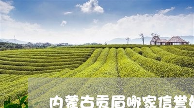 内蒙古贡眉哪家信誉好/2023120840604