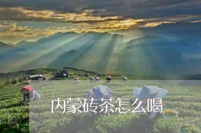 内蒙砖茶怎么喝/2023042942788