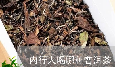 内行人喝哪种普洱茶/2023071053727