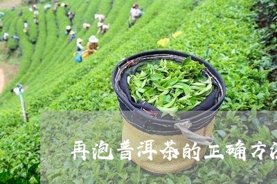 再泡普洱茶的正确方法/2023073016280