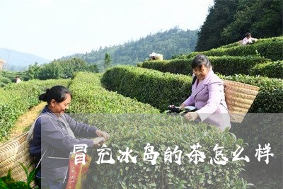 冒充冰岛的茶怎么样/2023042627258