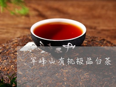 军峰山有机极品白茶/2023121752726
