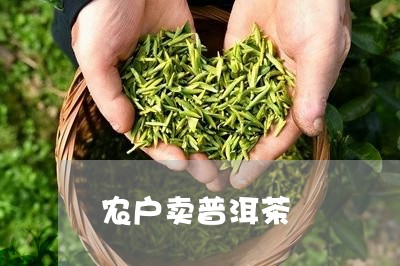 农户卖普洱茶/2023042960927