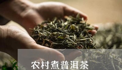 农村煮普洱茶/2023042692191