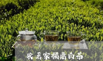 农茗家福鼎白茶/2023062874936