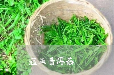 冠亚普洱茶/2023102524737