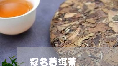 冠名普洱茶/2023102516272