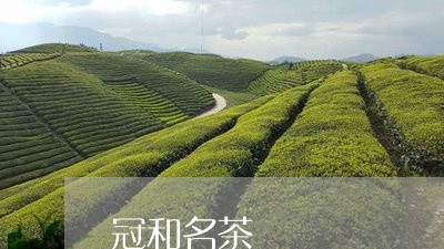 冠和名茶/2023110962513