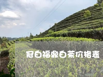 冠白福鼎白茶价格表/2023120360795