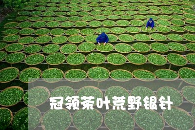 冠领茶叶荒野银针/2023090967463