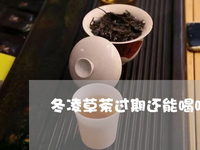 冬凌草茶过期还能喝吗/2023060830391