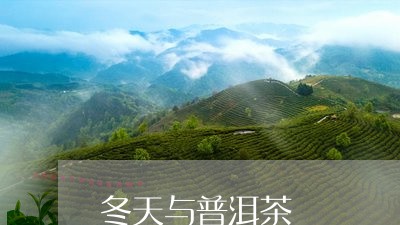 冬天与普洱茶/2023042832958