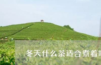 冬天什么茶适合煮着喝/2023071458479