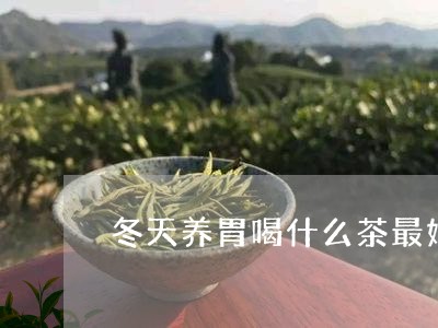 冬天养胃喝什么茶最好/2023060818250