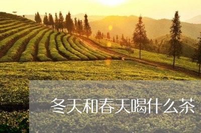 冬天和春天喝什么茶/2023042156470