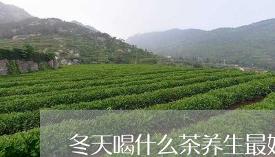 冬天喝什么茶养生最好/2023071457159