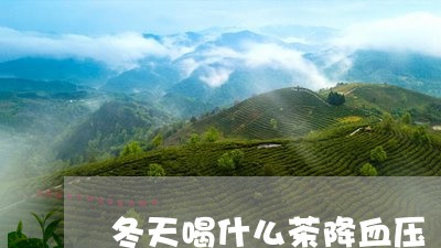 冬天喝什么茶降血压/2023042150706