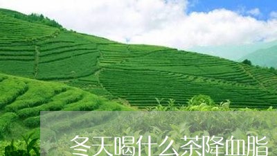 冬天喝什么茶降血脂/2023042119603