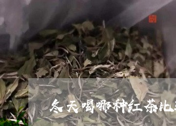 冬天喝哪种红茶比较好/2023060839703