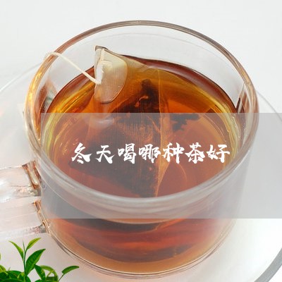 冬天喝哪种茶好/2023042946985