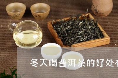 冬天喝普洱茶的好处有哪些/2023110536282