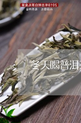 冬天喝普洱茶老茶头痛/2023100782737