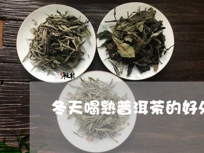 冬天喝熟普洱茶的好处/2023073161827