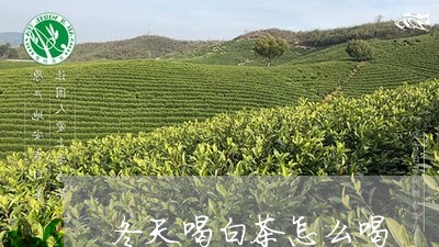 冬天喝白茶怎么喝/2023061543939