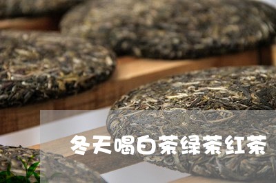 冬天喝白茶绿茶红茶/2023121750514