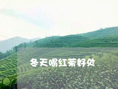 冬天喝红茶好处/2023042995630