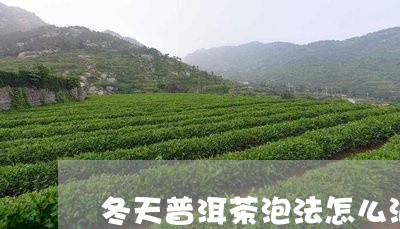 冬天普洱茶泡法怎么泡/2023062432604