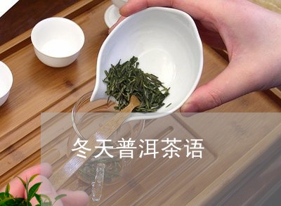 冬天普洱茶语/2023042751427