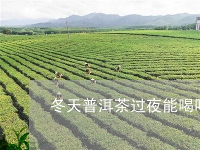 冬天普洱茶过夜能喝吗/2023073131825