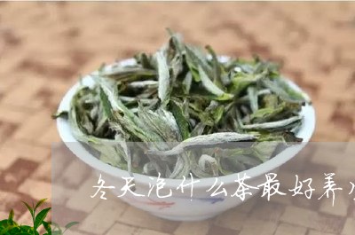 冬天泡什么茶最好养生/2023071414169