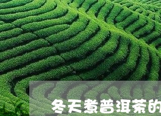 冬天煮普洱茶的图片/2023120648391