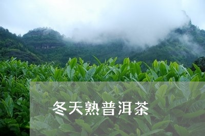 冬天熟普洱茶/2023042732057