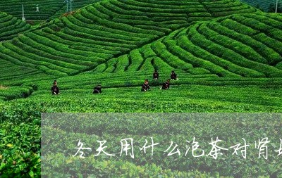 冬天用什么泡茶对肾好/2023060957282