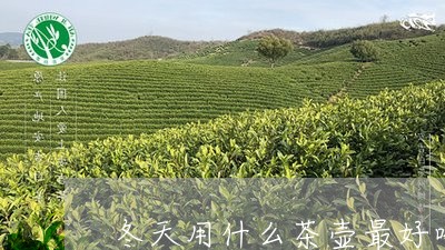 冬天用什么茶壶最好喝普洱茶/2023121382636